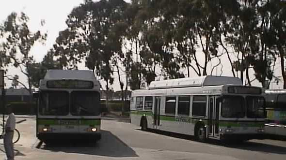 Culver Citybus New Flyer C40LF LAX
